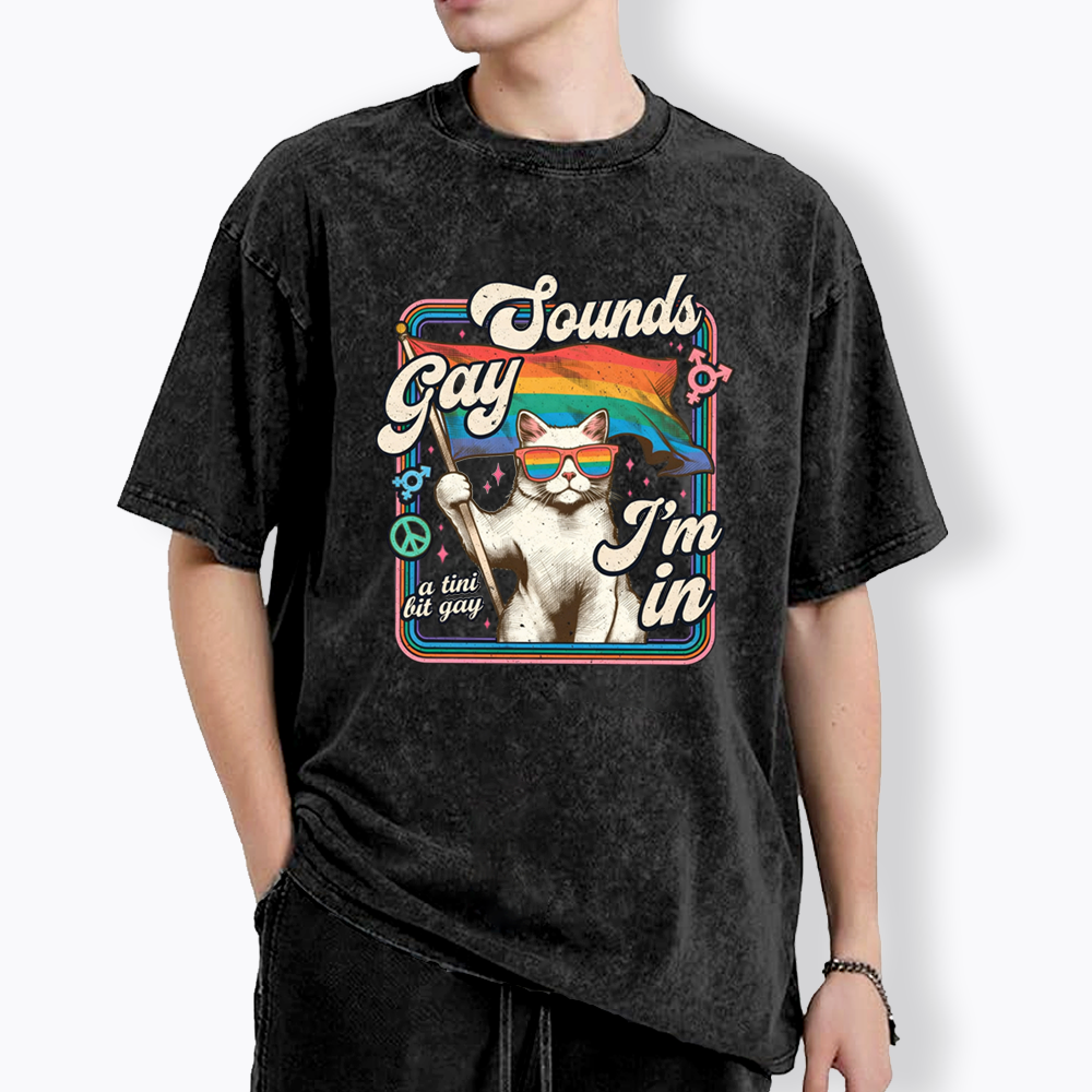 Sounds Gay I'm In Washed T-Shirt