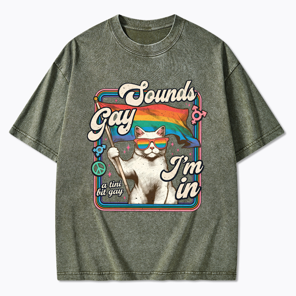 Sounds Gay I'm In Washed T-Shirt
