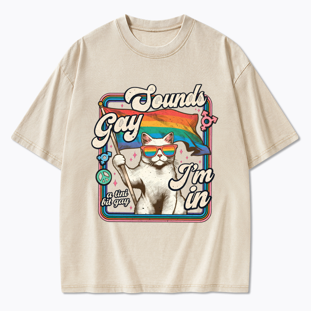 Sounds Gay I'm In Washed T-Shirt