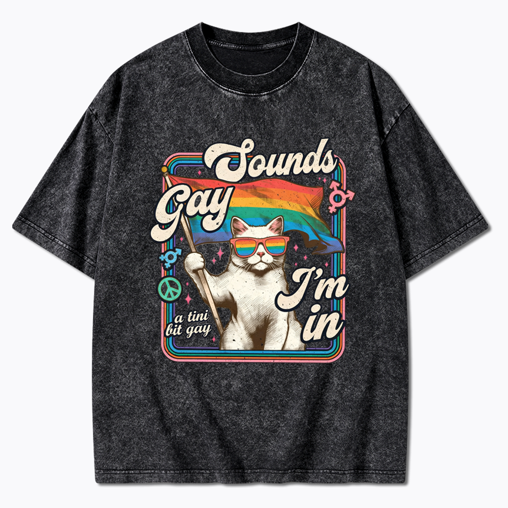 Sounds Gay I'm In Washed T-Shirt