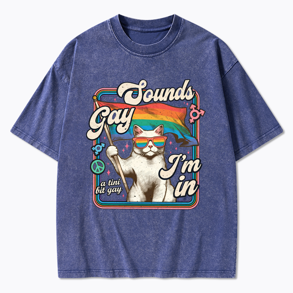 Sounds Gay I'm In Washed T-Shirt