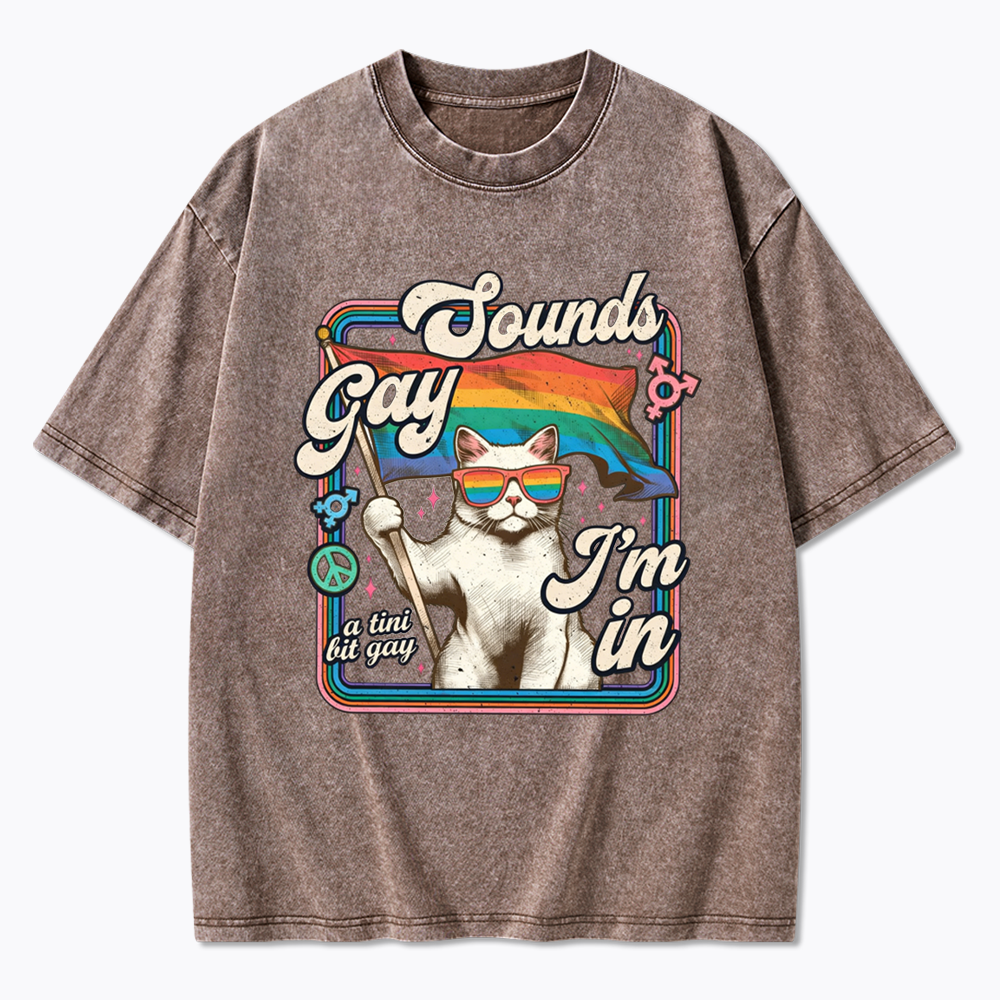 Sounds Gay I'm In Washed T-Shirt