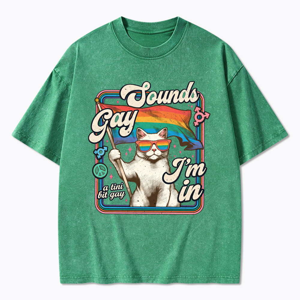 Sounds Gay I'm In Washed T-Shirt