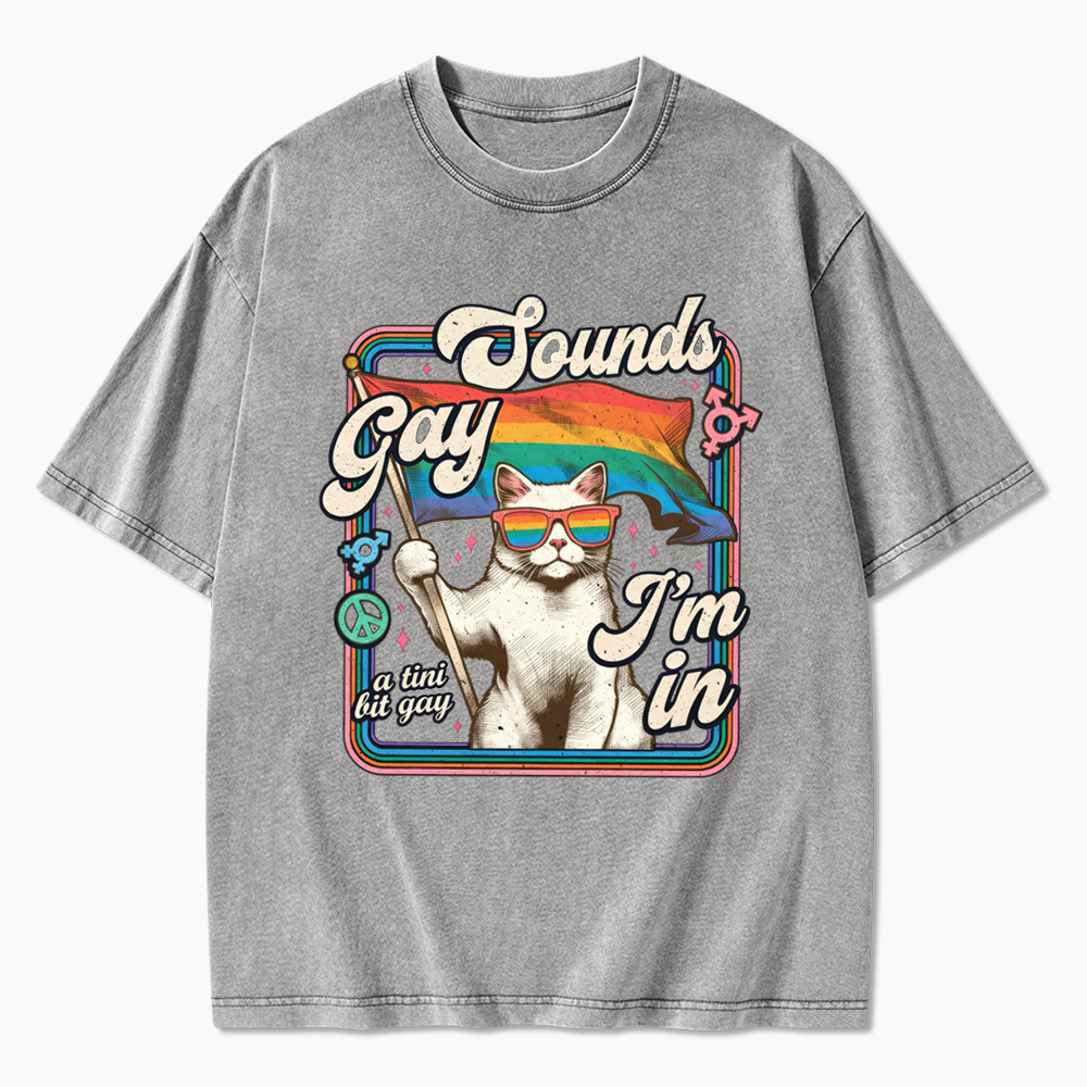 Sounds Gay I'm In Washed T-Shirt