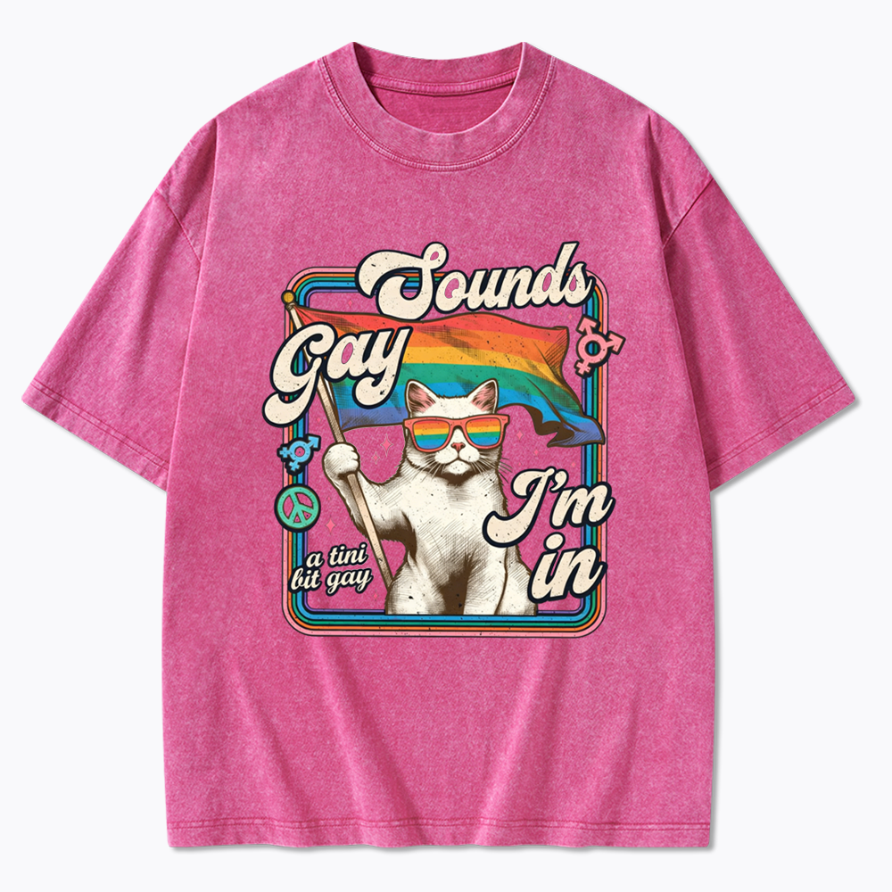 Sounds Gay I'm In Washed T-Shirt