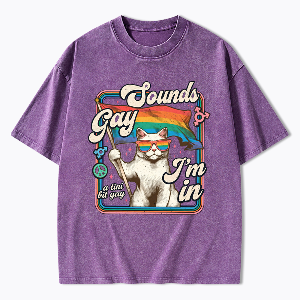 Sounds Gay I'm In Washed T-Shirt
