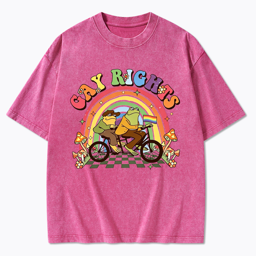 Frog And Toad Gay Rights Washed T-Shirt