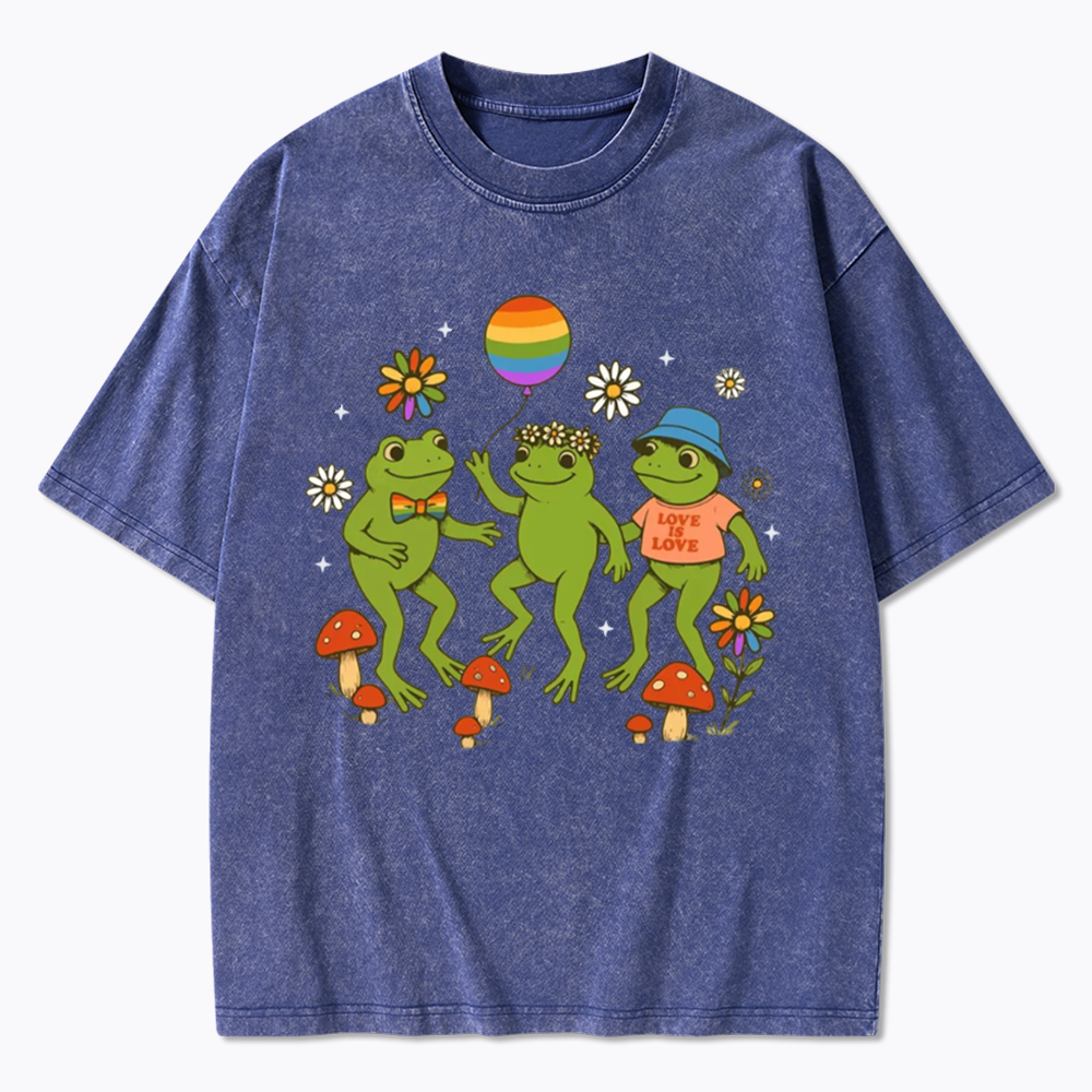 Funny Frog Pride Washed T-Shirt