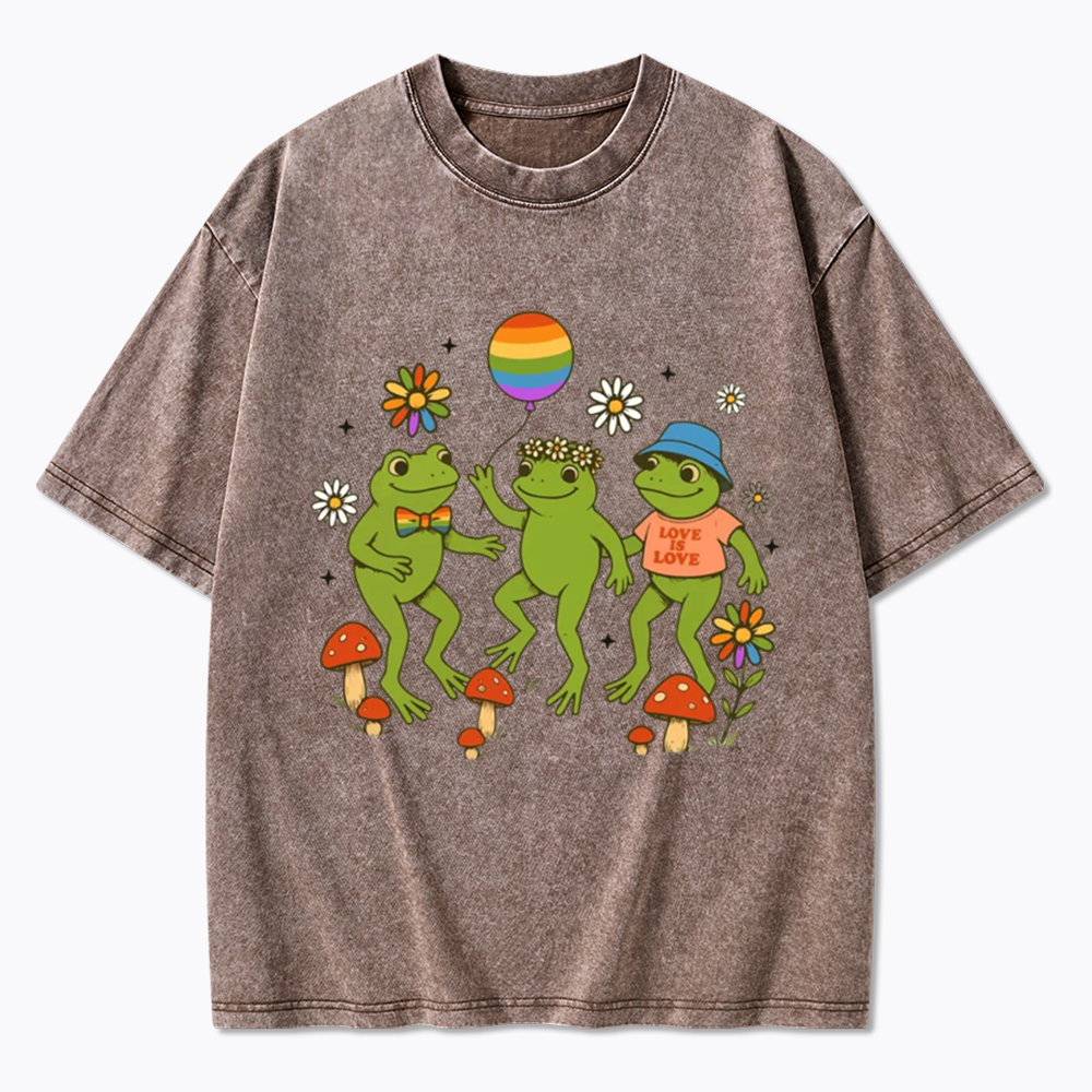 Funny Frog Pride Washed T-Shirt