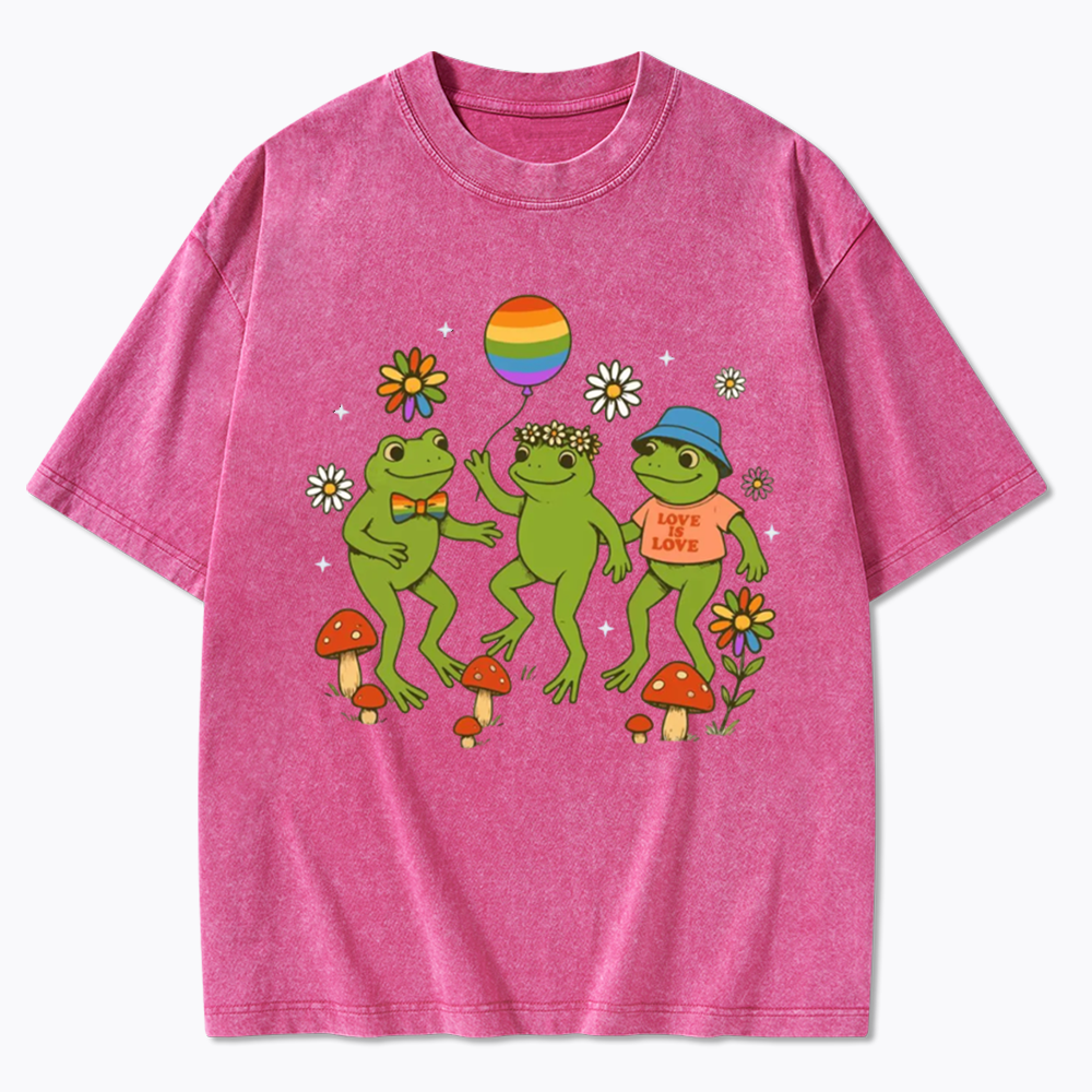 Funny Frog Pride Washed T-Shirt