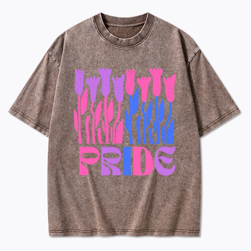 Subtle Bi Pride Washed T-Shirt