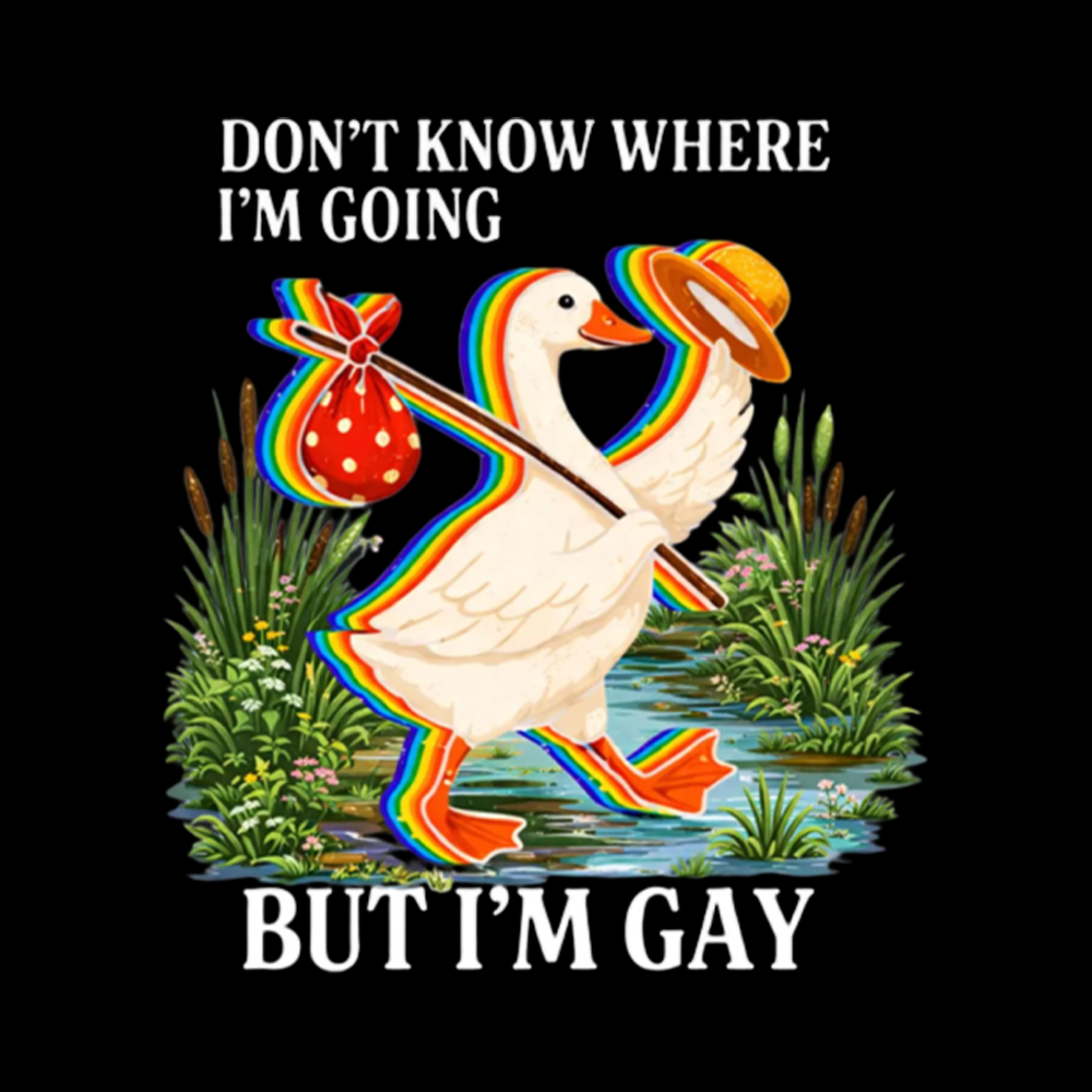I Don’t Know Where I’m Going But I’m Gay Washed T-Shirt