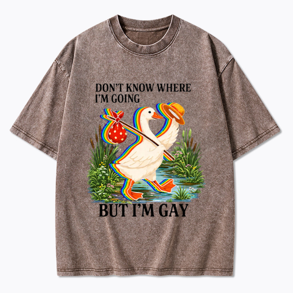 I Don’t Know Where I’m Going But I’m Gay Washed T-Shirt