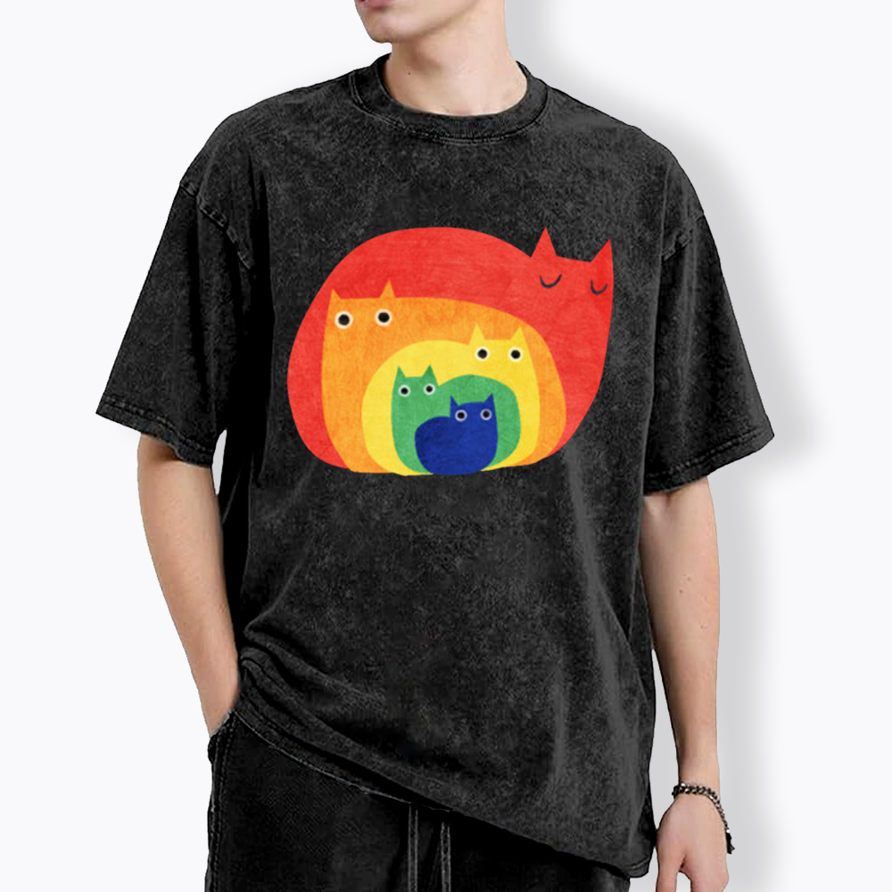 Rainbow Cats Washed T-Shirt