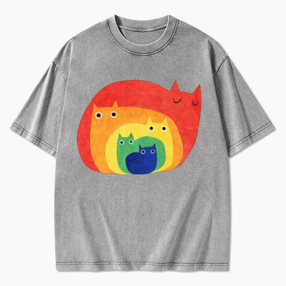 Rainbow Cats Washed T-Shirt