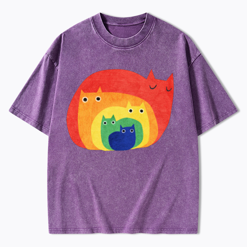 Rainbow Cats Washed T-Shirt
