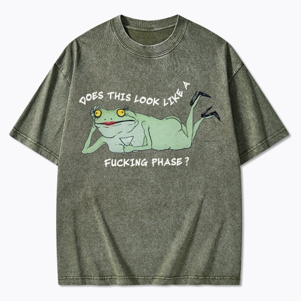 Funny LGBT Pride Frog Meme Washed T-Shirt