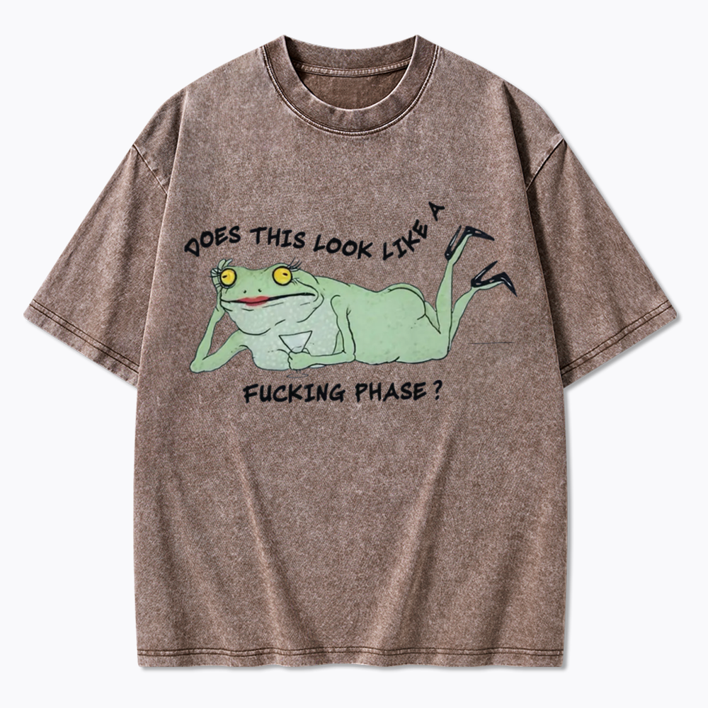 Funny LGBT Pride Frog Meme Washed T-Shirt