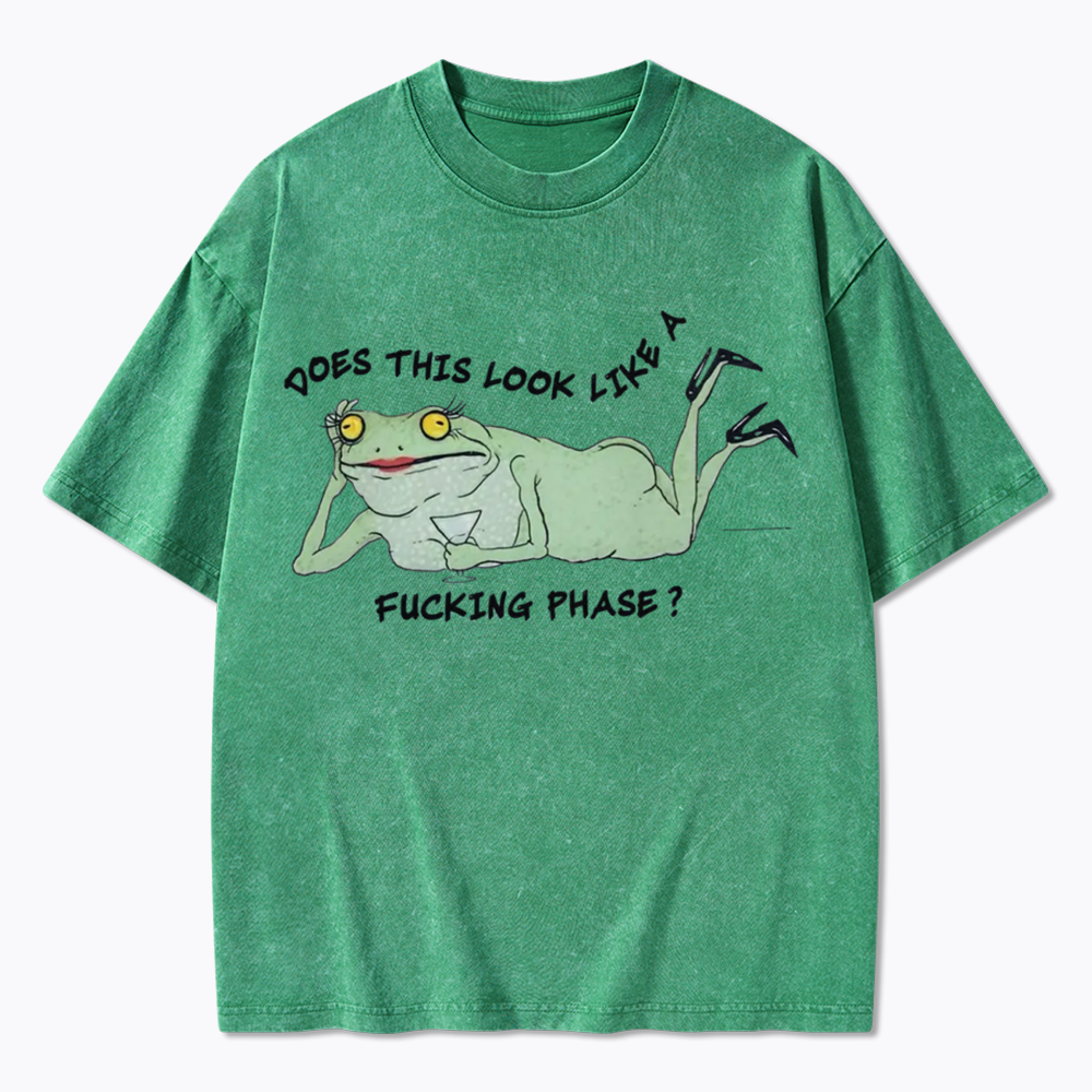 Funny LGBT Pride Frog Meme Washed T-Shirt