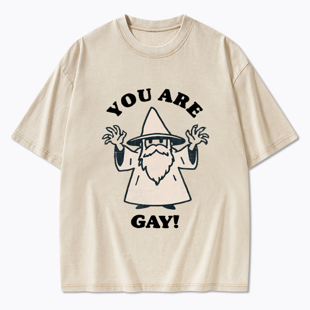 You Are Gay Washed T-Shirt
