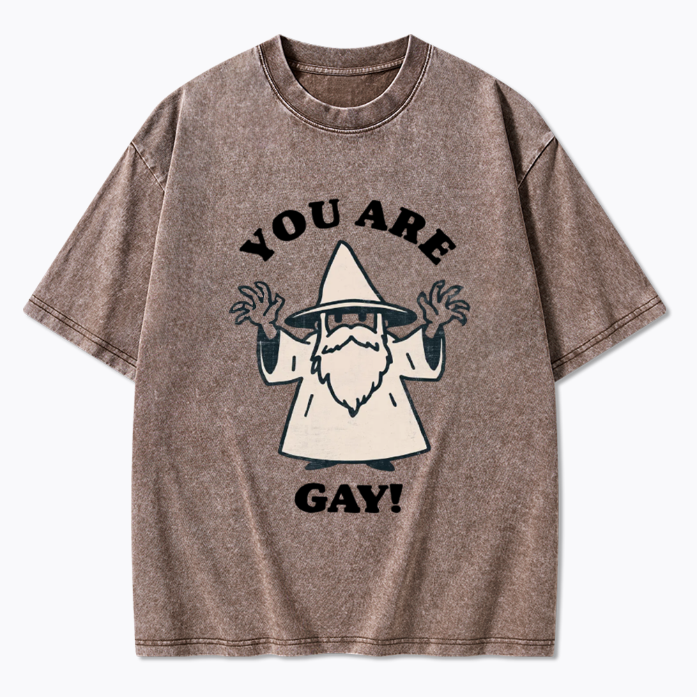 You Are Gay Washed T-Shirt
