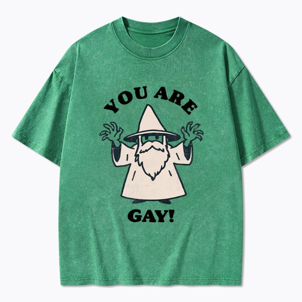 You Are Gay Washed T-Shirt