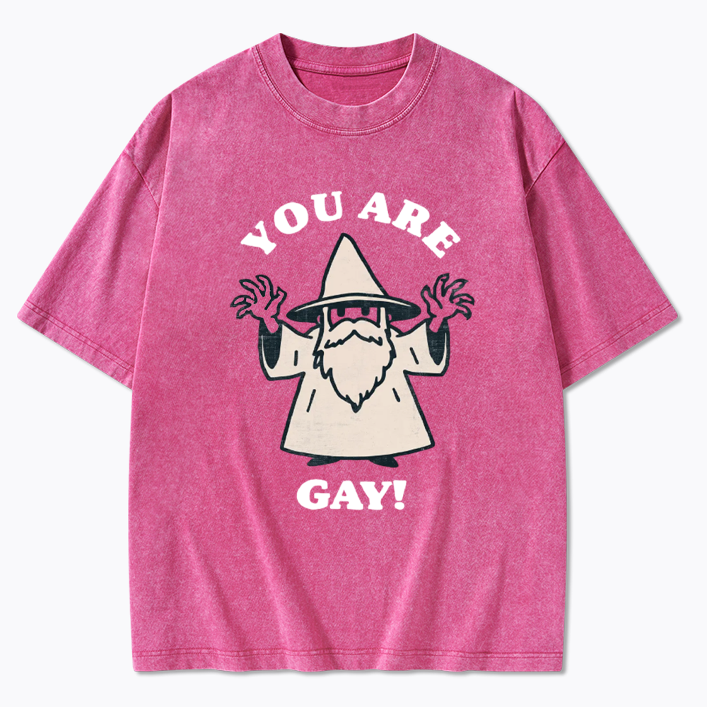 You Are Gay Washed T-Shirt