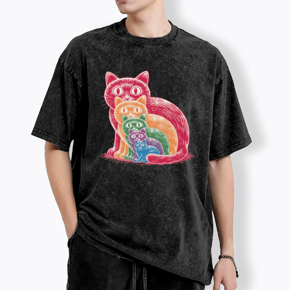 Pride Cat Washed T-Shirt
