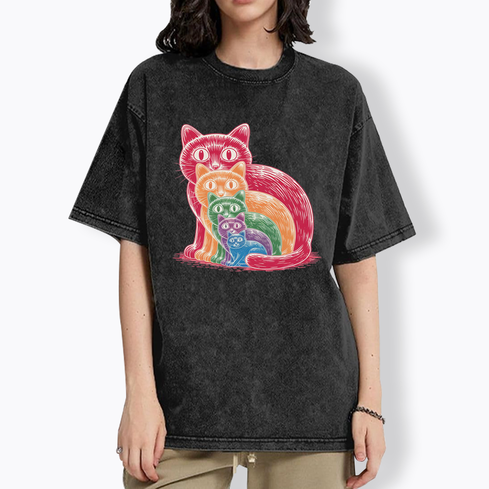 Pride Cat Washed T-Shirt