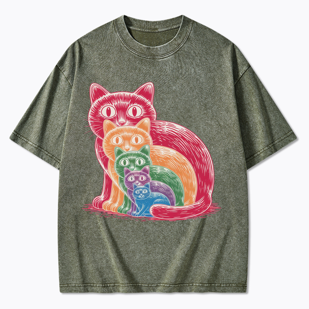 Pride Cat Washed T-Shirt