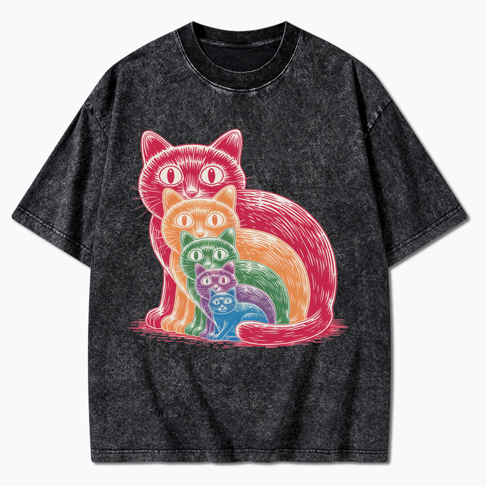 Pride Cat Washed T-Shirt