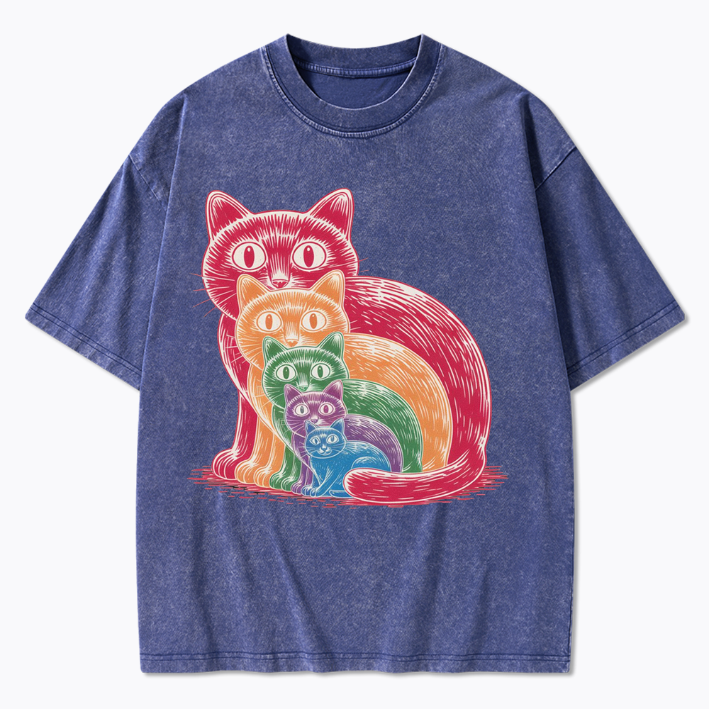 Pride Cat Washed T-Shirt