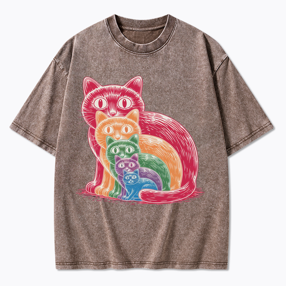 Pride Cat Washed T-Shirt