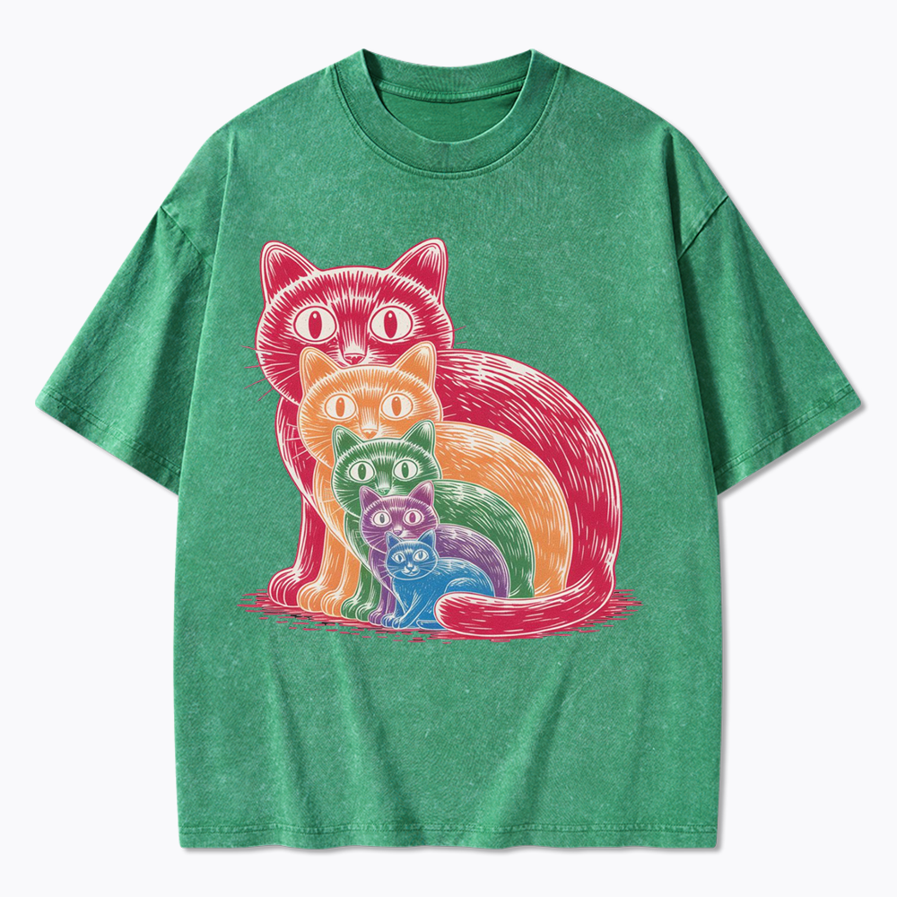Pride Cat Washed T-Shirt