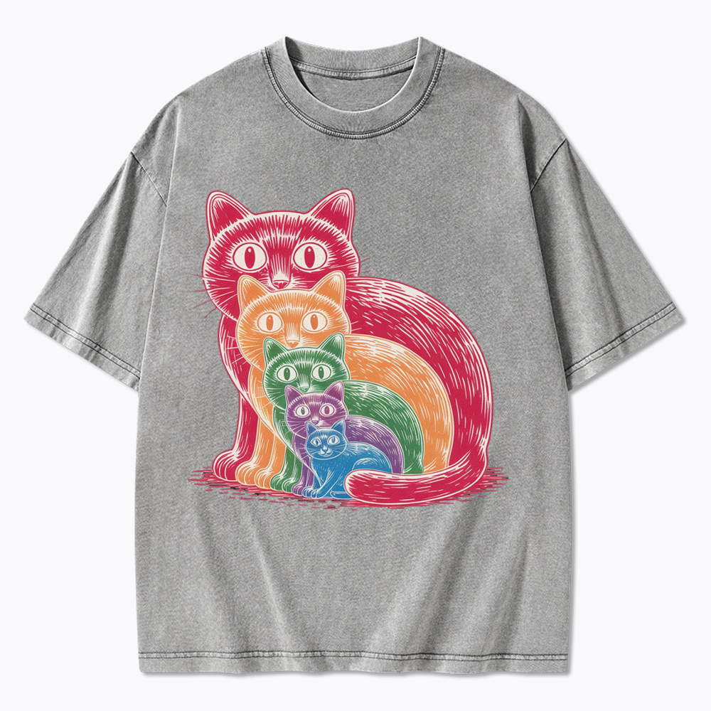 Pride Cat Washed T-Shirt