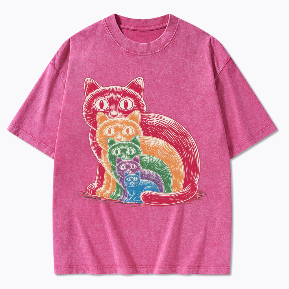 Pride Cat Washed T-Shirt