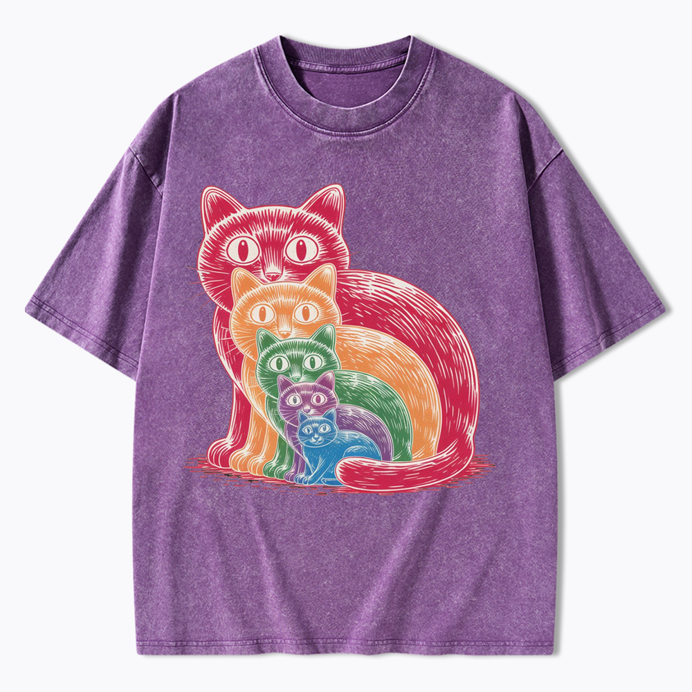 Pride Cat Washed T-Shirt
