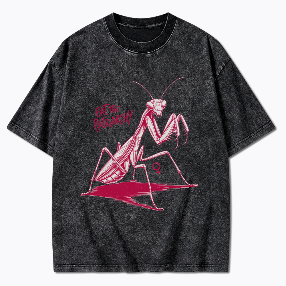 Eat The Patriarchy Washed T-Shirt