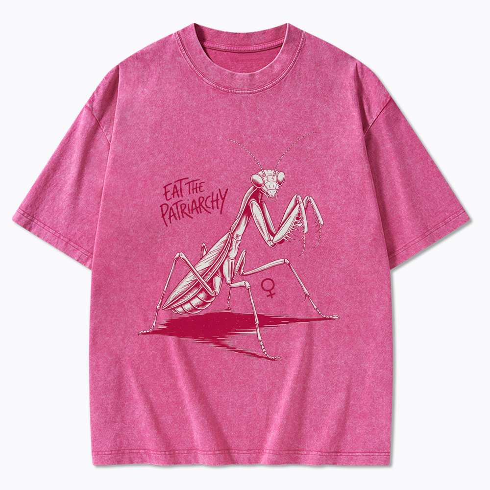 Eat The Patriarchy Washed T-Shirt