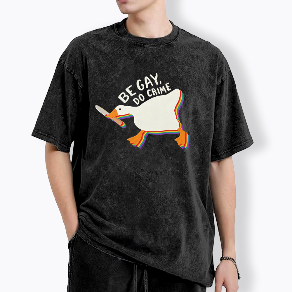 Be Gay Do Crime Goose Washed T-Shirt