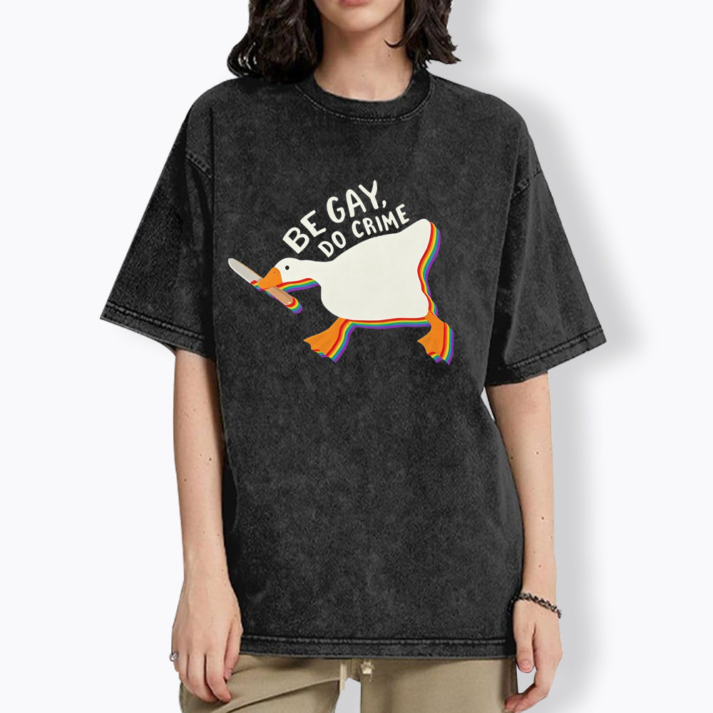 Be Gay Do Crime Goose Washed T-Shirt