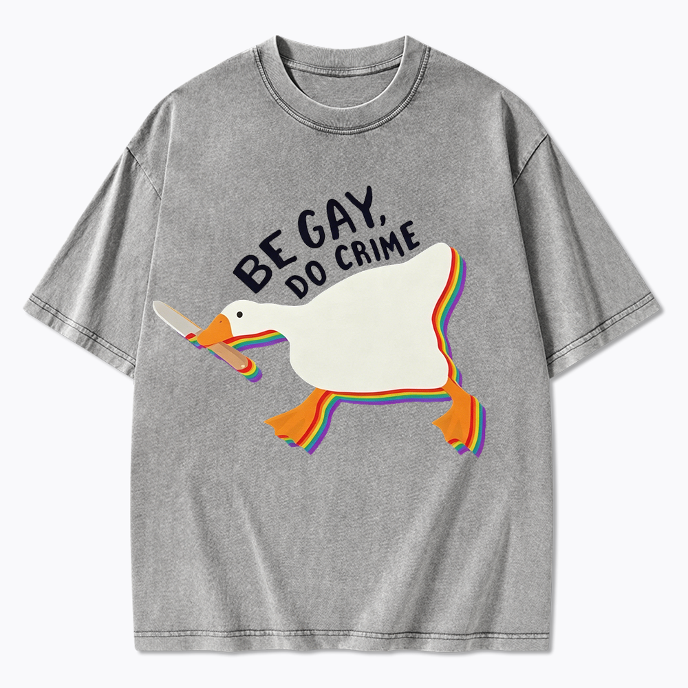 Be Gay Do Crime Goose Washed T-Shirt