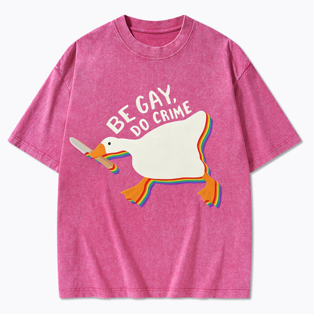 Be Gay Do Crime Goose Washed T-Shirt