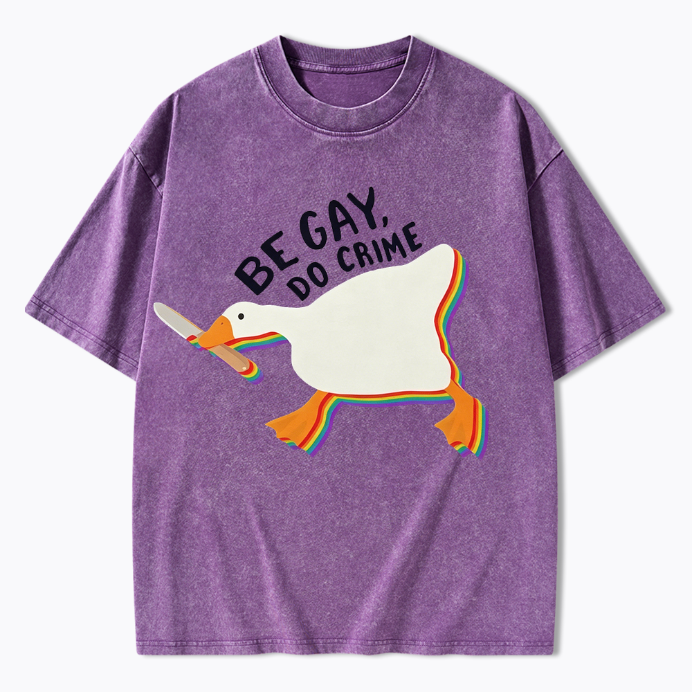 Be Gay Do Crime Goose Washed T-Shirt
