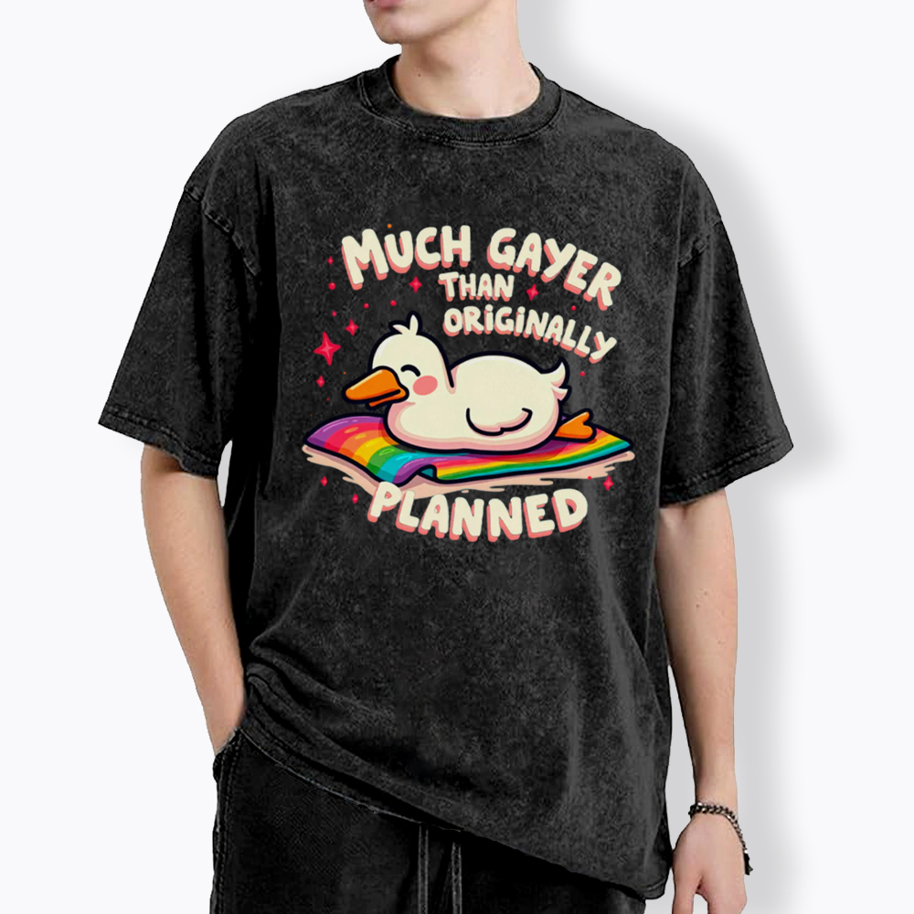Much Gayer Than Originally Planned Washed T-Shirt