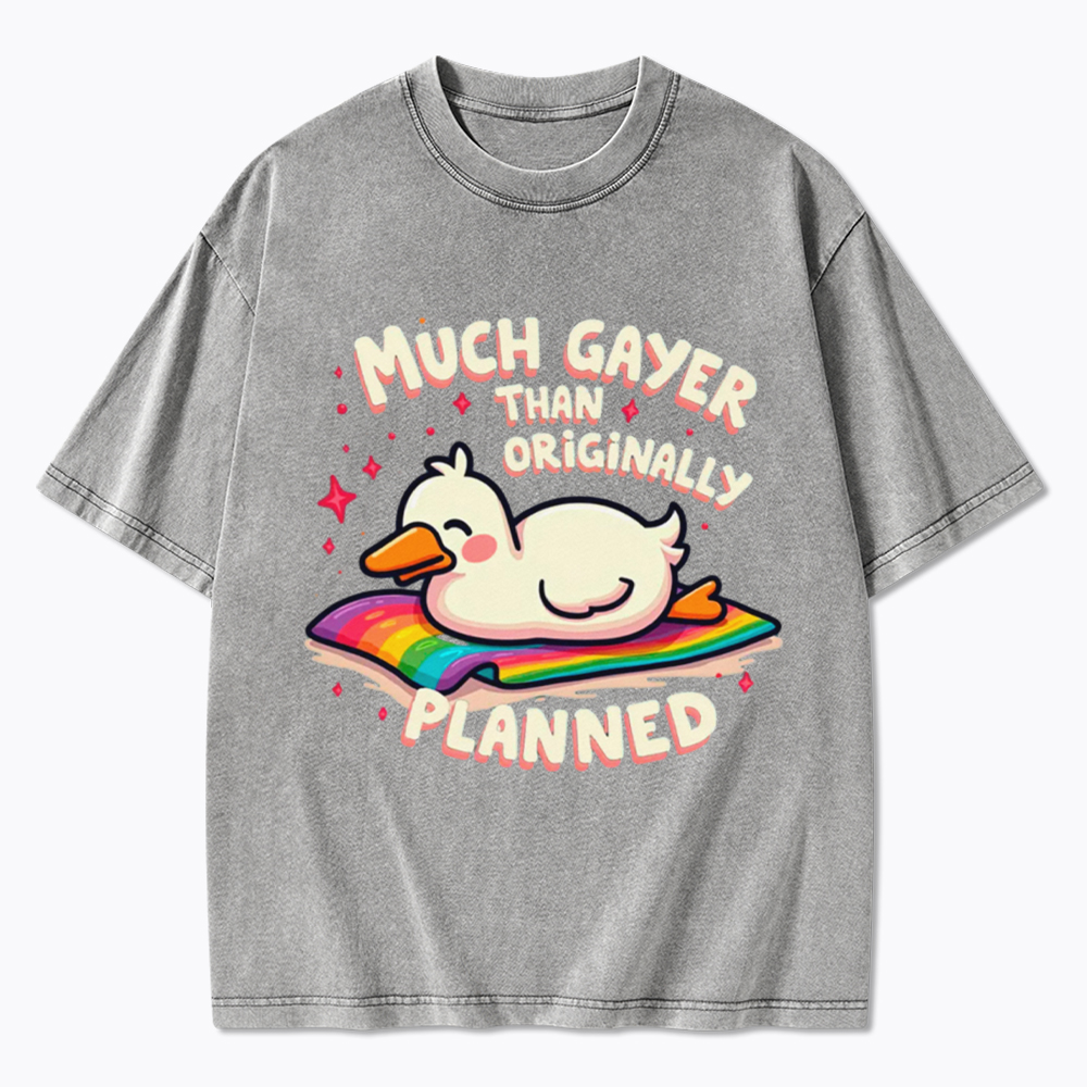 Much Gayer Than Originally Planned Washed T-Shirt