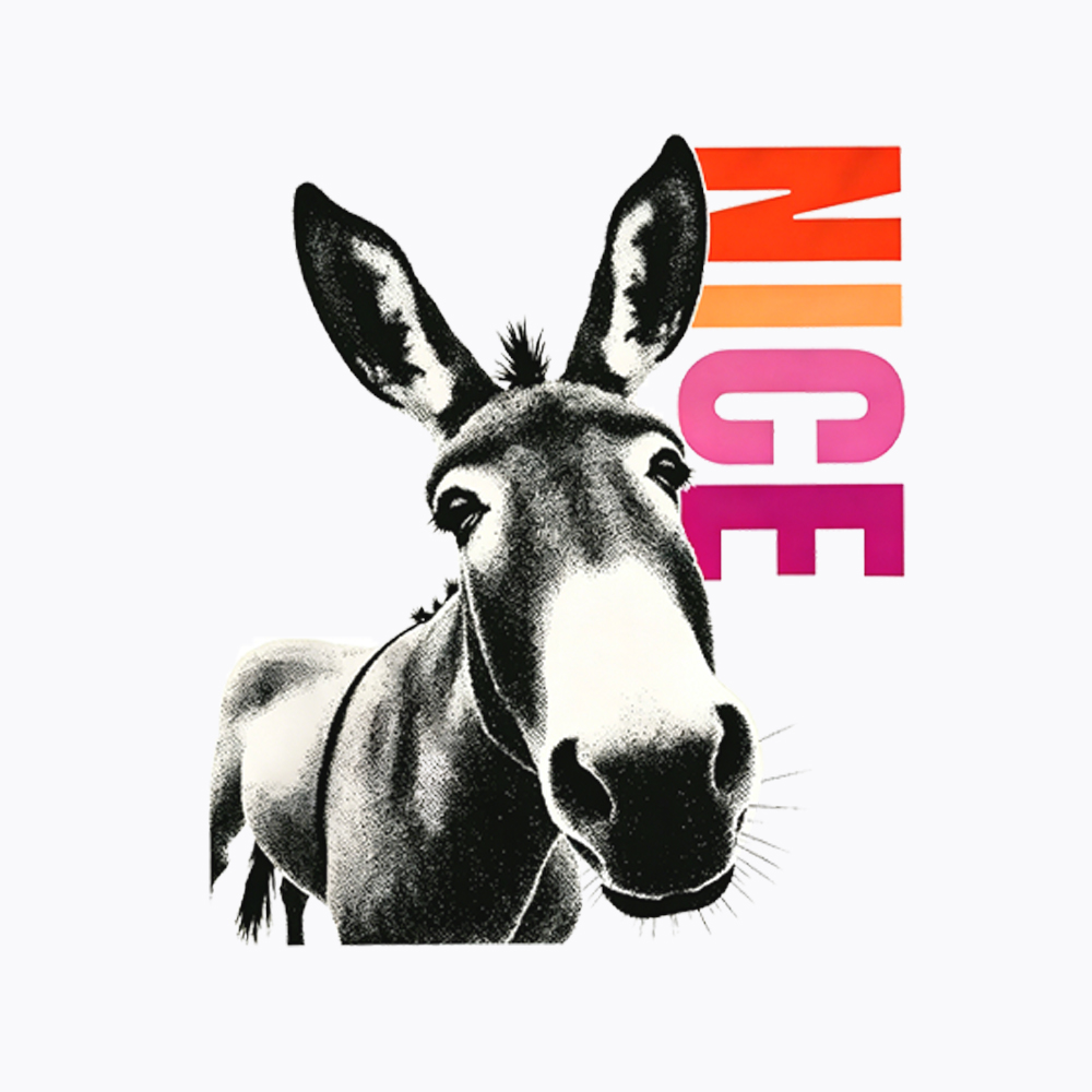 Humorous Donkey Nice Ass Washed T-Shirt
