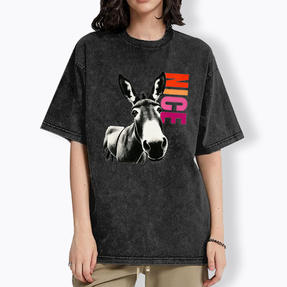 Humorous Donkey Nice Ass Washed T-Shirt