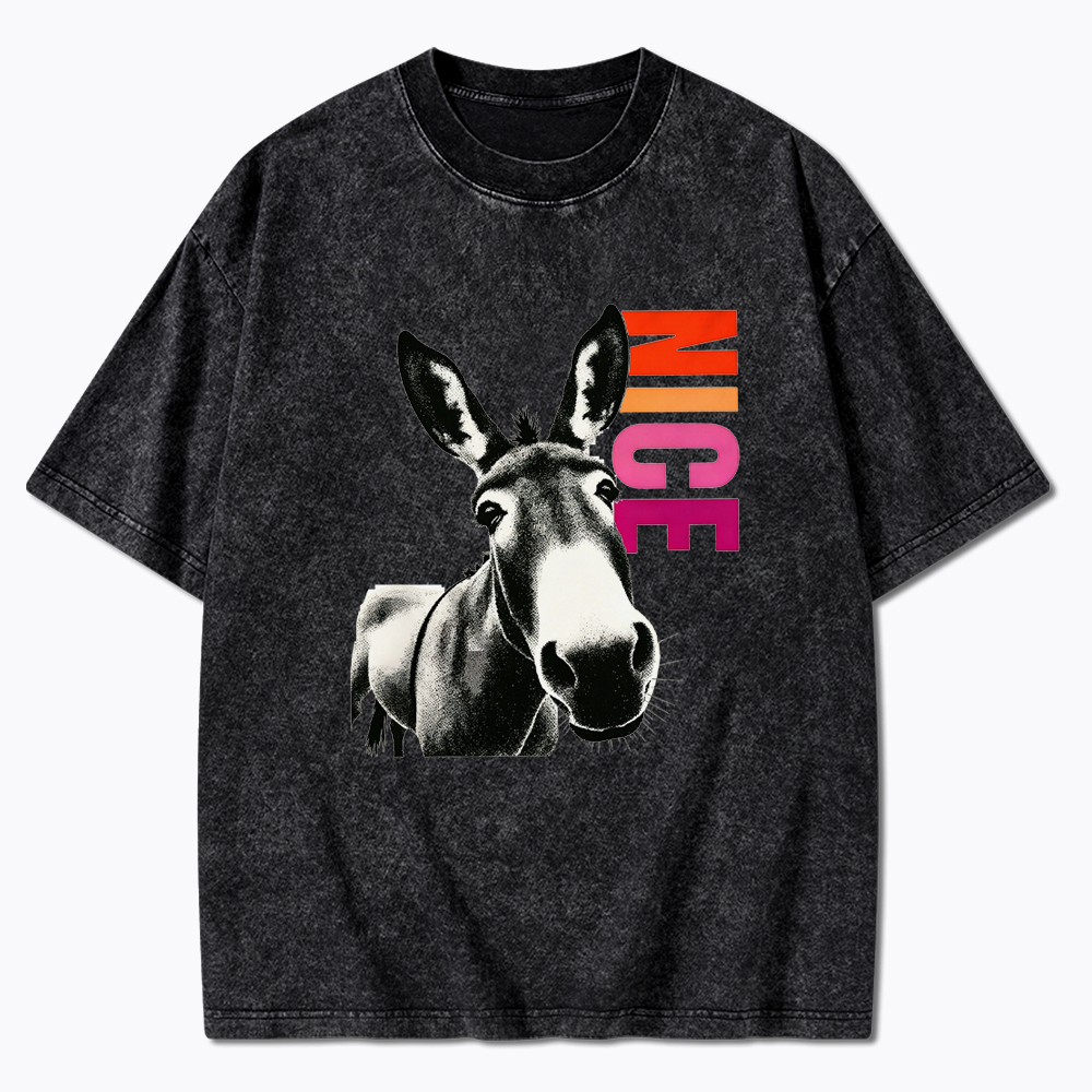 Humorous Donkey Nice Ass Washed T-Shirt