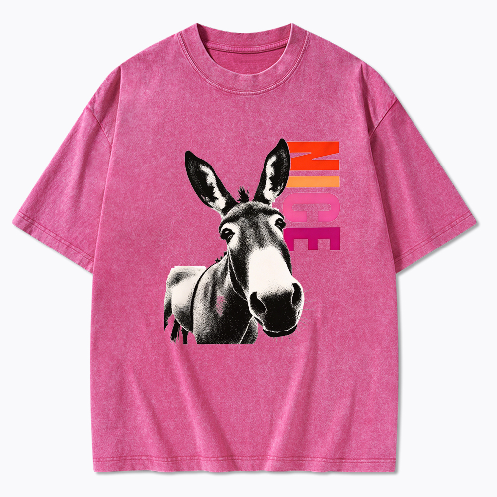 Humorous Donkey Nice Ass Washed T-Shirt